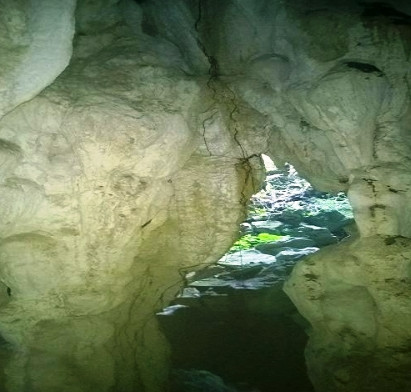Discover new 'cave' in Phong Nha - Ke Bang National Park