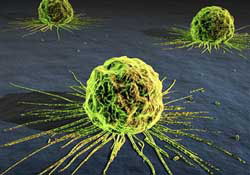 Discover new compounds that can fight cancer