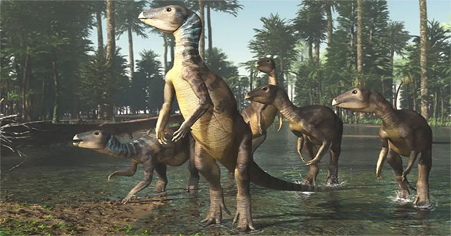 Discover new dinosaurs in Australia