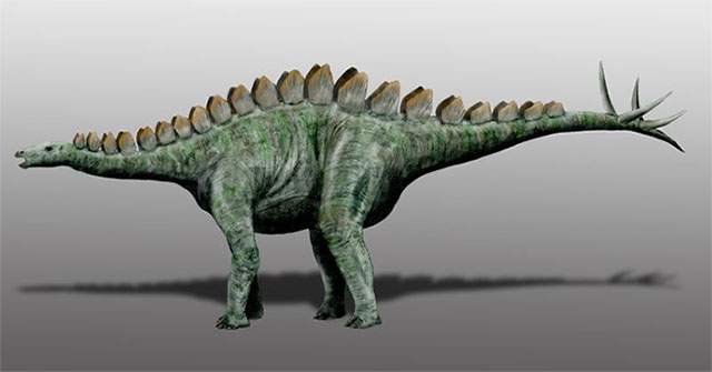 Discover new dinosaurs in extremely rare places