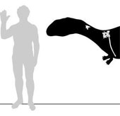 Discover new dinosaurs