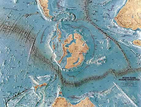 Discover new forms of life in the Southern Ocean