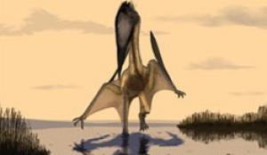 Discover new giant lizard species