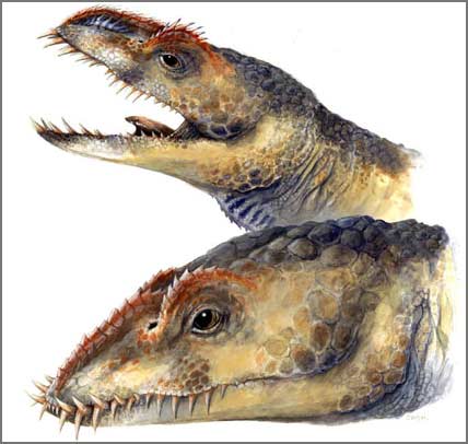 Discover new marine reptile species of the same period of dinosaurs
