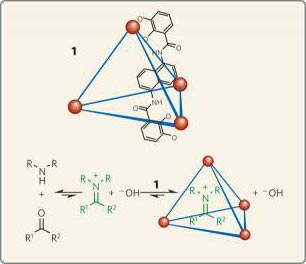 Discover new methods to 'Arrest' intermediate compounds in water