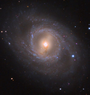 Discover new supernova