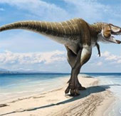Discover new tyrant dinosaurs
