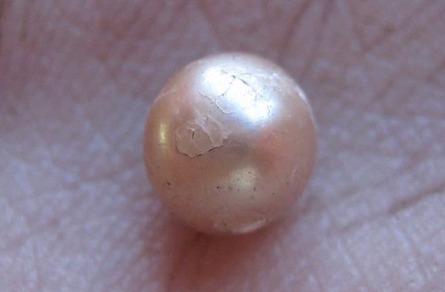 Discover rare 2,000-year-old pearls in Australia