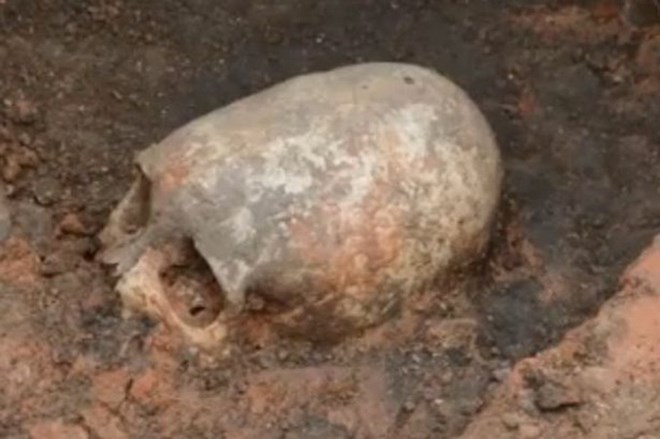 Discover strange 4,000-year-old skull like alien