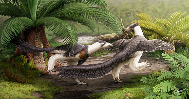 Discover strange dinosaurs, like magical creatures