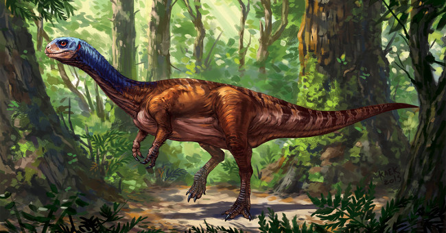 Discover strange monster dinosaurs