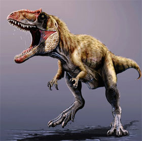 Discover super big tyrant dinosaurs