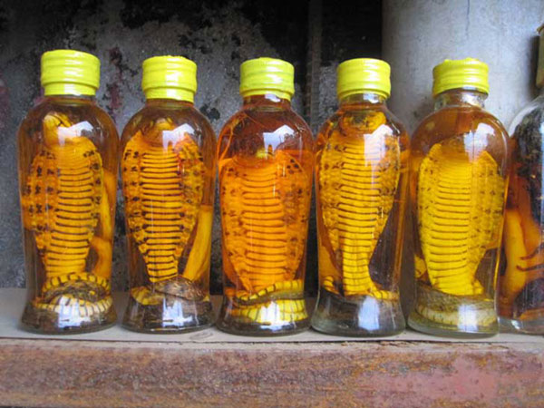 Discover the 16 most quirky drinks in the world