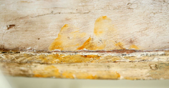 Discover the 3000-year-old fingerprint of ancient Egypt