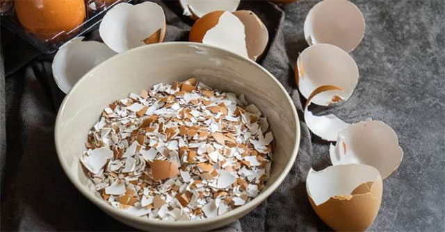 Discover the amazing healing effects of ... egg shells