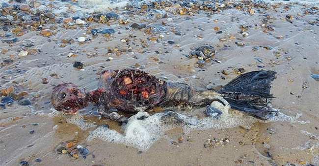 Discover the bloody body of 'mermaid' on British beach