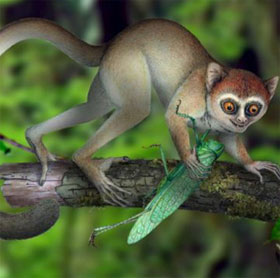 Discover the earliest ancestors of humankind