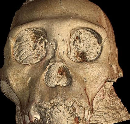 Discover the human ancestors skull 2 ​​million years ago