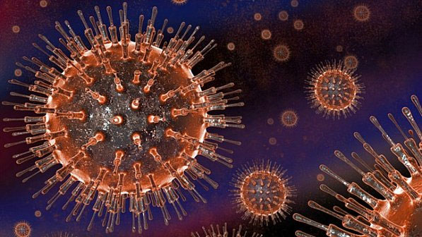 Discover the immune system against the spread of HIV