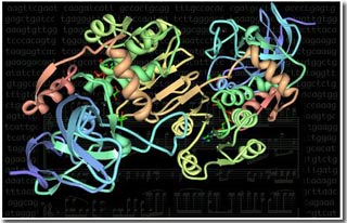 Discover the 'melody' of DNA molecules