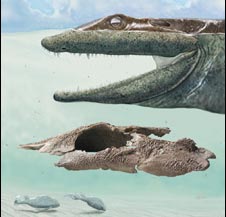 Discover the most original 4-legged fossil fossils