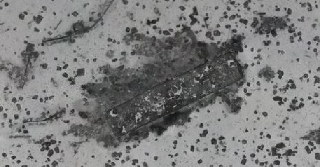 Discover the mysterious ship graveyard in the search area MH370