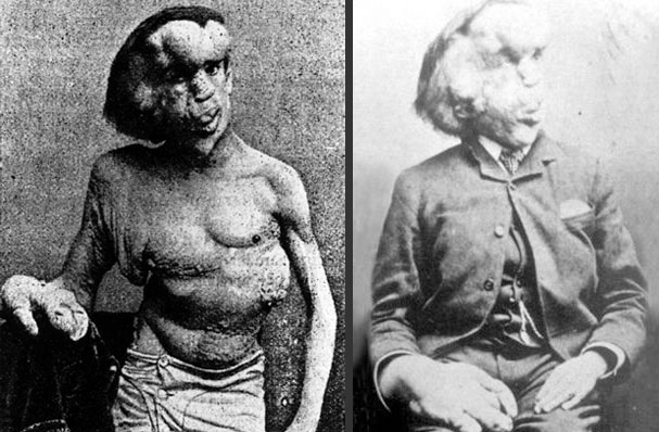 Discover the mystery of 'the elephant'
