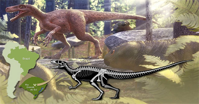 Discover the oldest carnivorous dinosaur