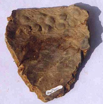 Discover the oldest ceramic piece in the world
