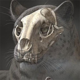 Discover the oldest fossil fossil in Tibet