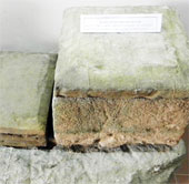 Discover the oldest stone stele in Vietnam