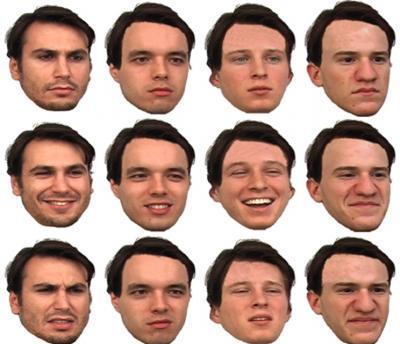 Discover the part that helps identify the face of the brain