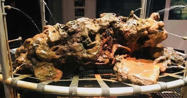 Discover the richest pirate skeleton in history