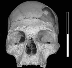 Discover the skull of the first modern person in Europe