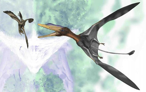 Discover the smallest animal dinosaurs