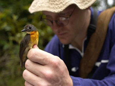 Discover the unique red-necked bird