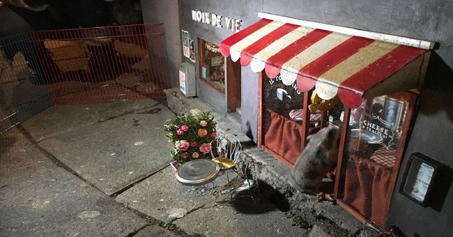 Discover the unique, tiny bakery for mice in Sweden