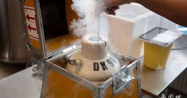 Discover the world's largest sperm bank
