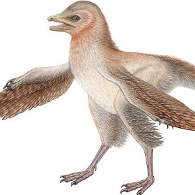Discover tiny tiny dinosaurs with Jurassic hair