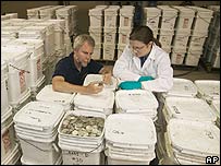 Discover treasures hundreds of millions of dollars in the sea