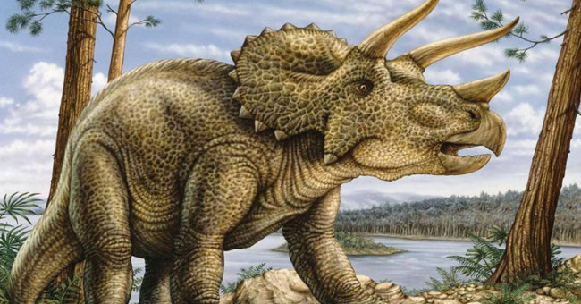 Discovered 2 new dinosaurs that hurt archaeologists