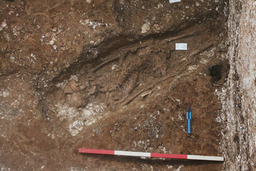 Discovered 3 ancient Vietnamese skeletons of 5,000 years in Ha Tinh
