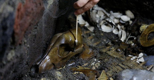 Discovered 500-year-old wolf dog covered with pure gold