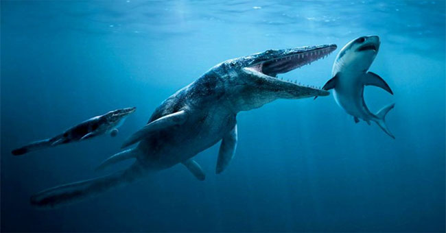 Discovered 85 million year-old undersea typhoon