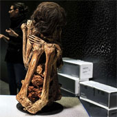 Discovered a 1,000-year-old Peruvian mummy in a sitting position