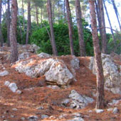 Discovered a 5,000-year-old crescent-shaped structure
