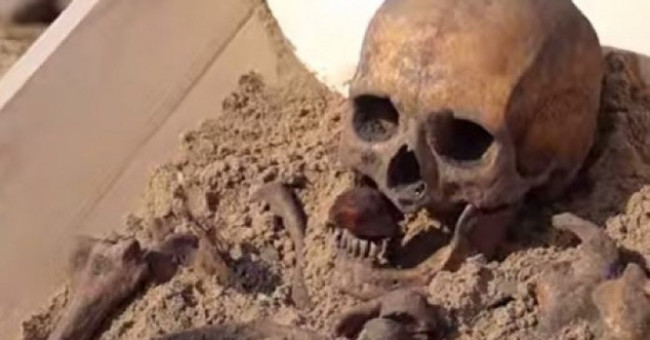 Discovered a 500-year-old vampire skeleton in Poland