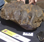 Discovered a $ 5.3 million meteorite in the field