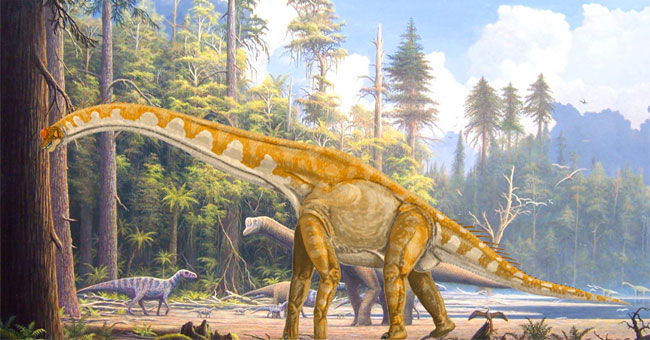 Discovered a giant dinosaur skeleton that has a lifespan of 70 million years