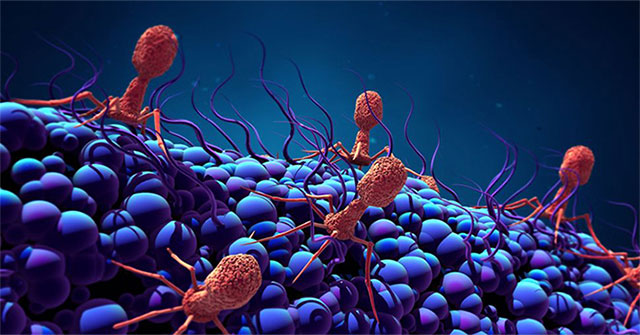 Discovered a giant virus that 'eats alive' bacteria